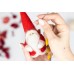 Needle felting kit "Santa Claus"