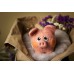 Needle felting kit "Pig"